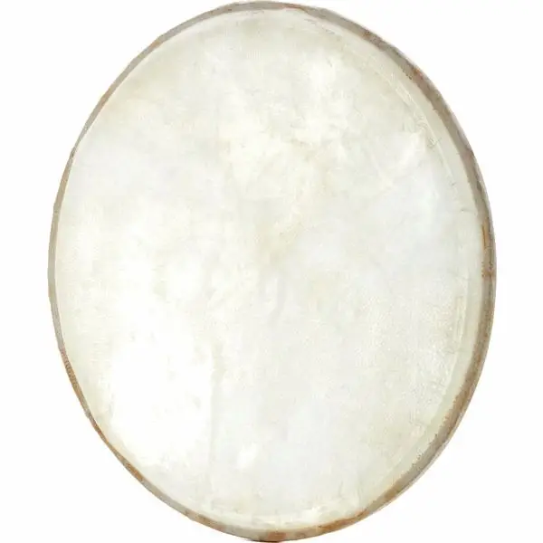 Online Kaufen Studio 49 EFRT300 skin for Framedrum