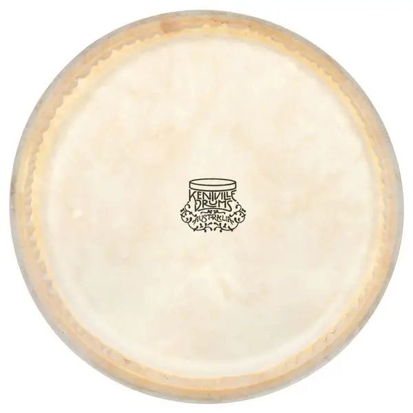 Bestpreis Thomann 8,5" Bongo kangaroo head