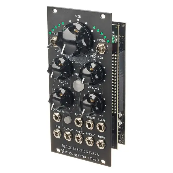 Kracherpreis Erica Synths Black Stereo Reverb