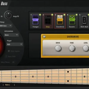 Must-Have Steinberg Electric Bass