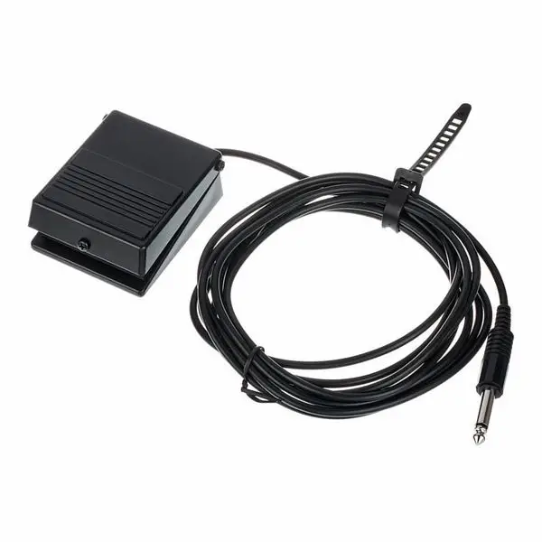 Roland DP 2 Sonderaktion