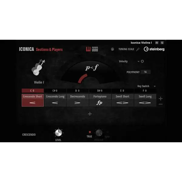 Versand Am Gleichen Tag Steinberg Iconica Sections & Players