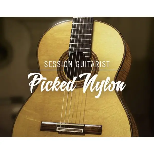 Bestpreis Native Instruments Session Guit. - Picked Nylon
