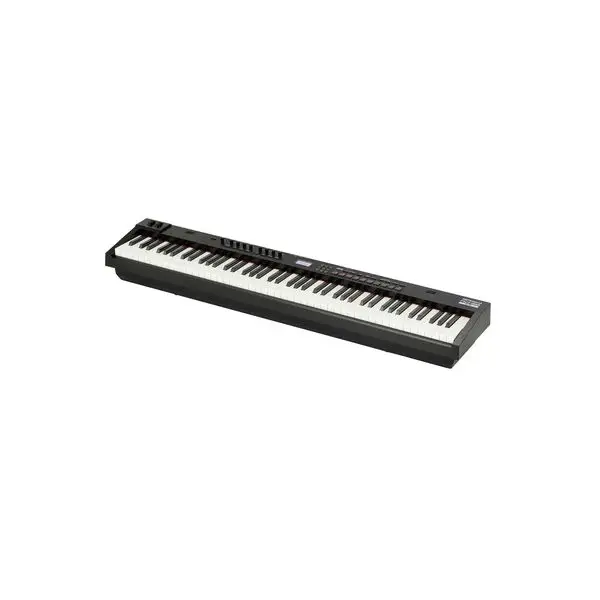 Kostenloser Rückversand Roland RD-88 EX B-Stock