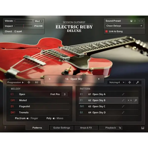 Native Instruments SG Electric Ruby Deluxe Jetzt Bestellen