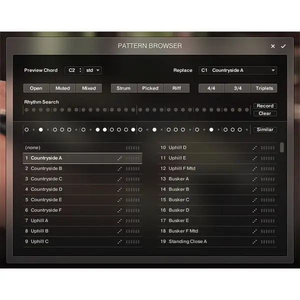 Expressversand Native Instruments Session Guitarist Picked Acou.