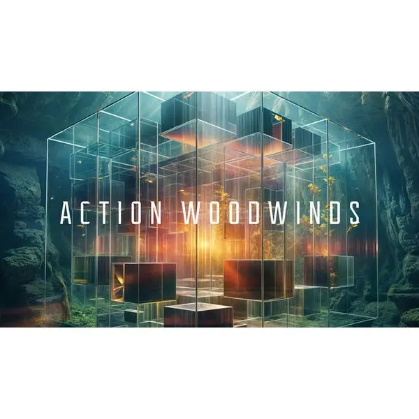 Aktuell Native Instruments Action Woodwinds