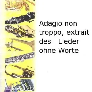 Robert Martin MENDELSSOHN F. - ADAGIO NON TROPPO EXTRAIT DES LIEDER OHNE WORTE Kostenfreie Lieferung