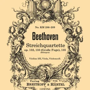 Streichquartette op.132 op.133 (Große Fuge) op.135 Heißes Angebot