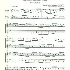 Was Jesus nur mit mir fügen wird TWV1:1525 Kracherpreis