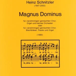 Nur Heute Magnus Dominus für gem Chor,
