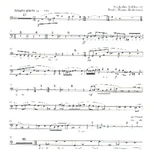 Rondo capriccioso Heißes Angebot