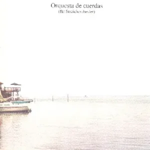 Highlight Orquesta de cuerdas