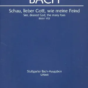 Schau lieber Gott wie meine Feind Abverkauf