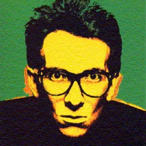 Top-Seller The very Best of Elvis Costello: