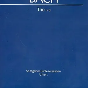 Trio B-Dur BR-WFB:B16 (Fk50) Highlight