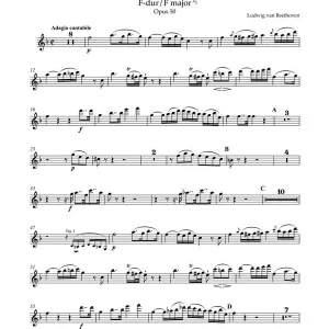 Online Kaufen Romanzen in F-Dur und G-Dur op.50 - op.40