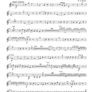 Letzte Chance Konzert