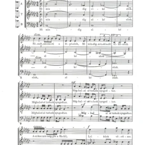 Akik mindig elkésnek Direktkauf