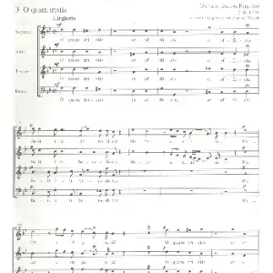 Stabat Mater (Wiener Fassung) Neu Im Sortiment