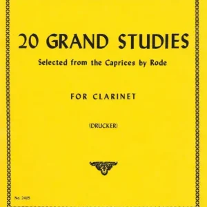 Rose, 20 grand studies Knallerangebot