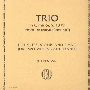 Jetzt Kaufen Trio in c Minor BWV1079