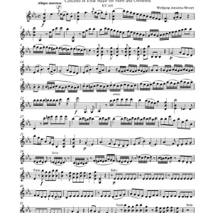 Begrenztes Angebot Konzert Es-Dur Nr.4 KV495 für Horn