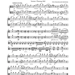 Sinfonie a-Moll Nr.3 op.56 Finale Aktion