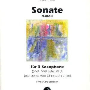 Finale Aktion Sonate d-Moll