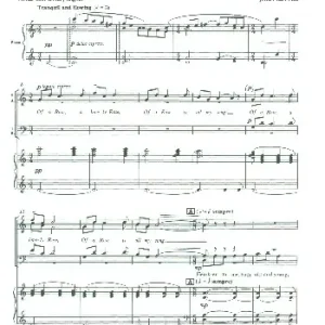 Bestseller Of a Rose a lovely Rose