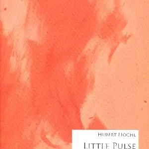 Little Pulse Letzte Chance