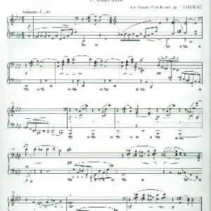 Preisreduziert Pianoforte-Studien für die linke Hand allein op.113