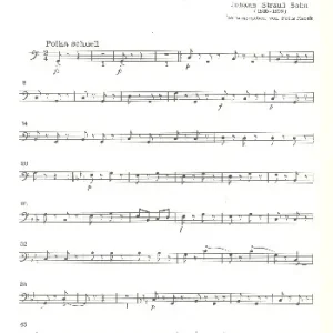 Must-Have Leichtes Blut op.319