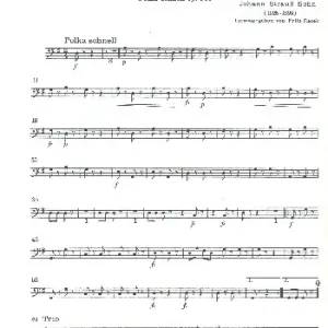 Neue Kollektion Unter Donner und Blitz op.324