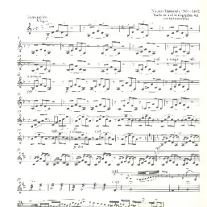 Zertifiziert Variationen auf einer Saite nach einem Thema von Rossini