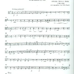 Unter Donner und Blitz op.324 Versand Am Gleichen Tag