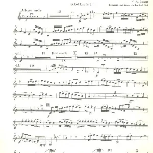 Rabatt Konzert d-Moll MurrayC38