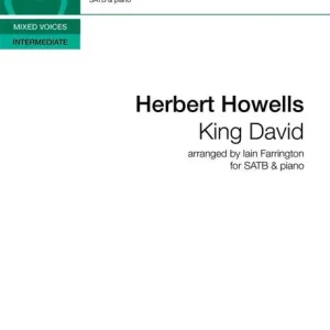 Top-Seller King David