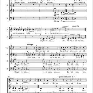 Jetzt Bestellen Magnificat