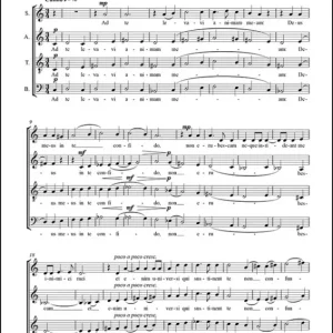 2 lateinische Sätze Sichere Zahlung