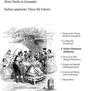 Sentir Flamenco füe Gitarre Kracherpreis