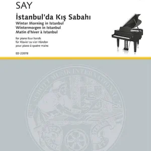 Wintermorgen in Istanbul Preisknaller