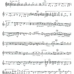 Kracherpreis Divertimento