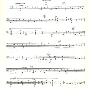 Divertimento Highlight