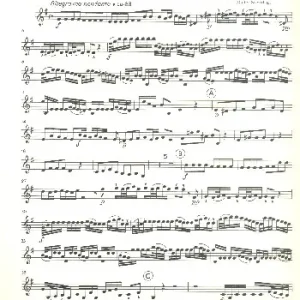 Bestseller Konzert e-Moll für Flöte, Streichorchester