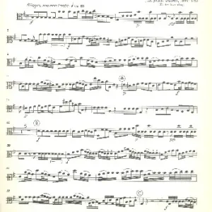 Konzert e-Moll für Flöte, Streichorchester Echt