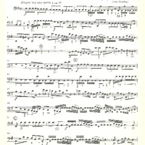 Heißes Angebot Konzert e-Moll für Flöte, Streichorchester