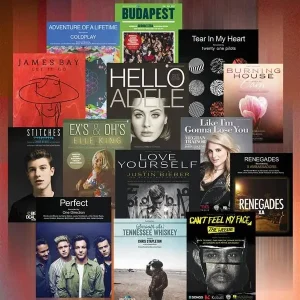 Chart Hits of 2015-2016: Beliebt