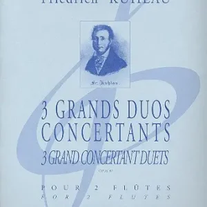 Neuheit Grand duo concertant op.87,2