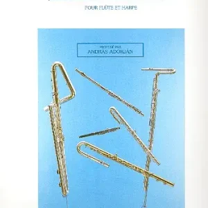 Sale Cadences pour le concerto KV299 de